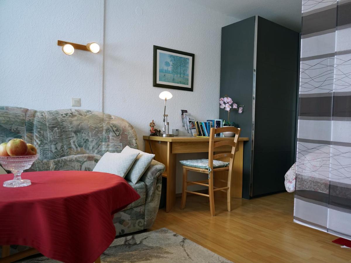 Ferien-Oase Bad Duerrheim Apartman Kültér fotó